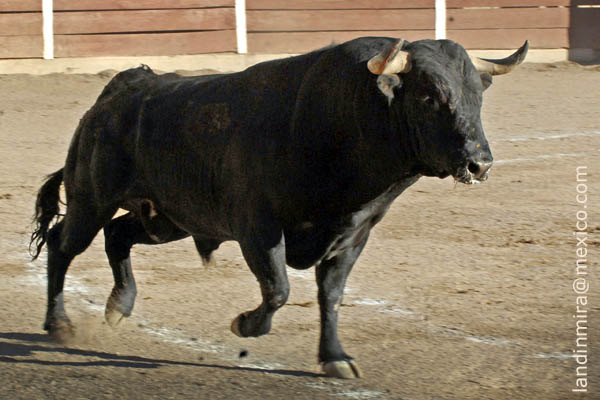 La empresa prometi� trap�o