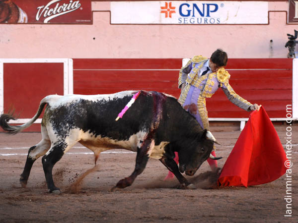 Jaleado en los naturales