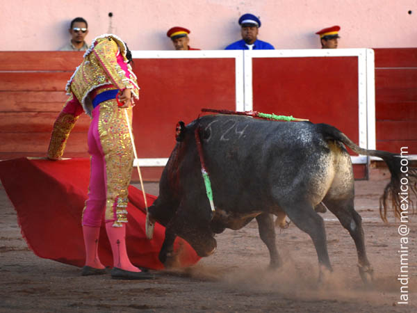 La nobleza del ejemplar