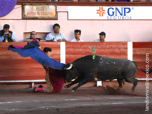 El saludo de Almeida