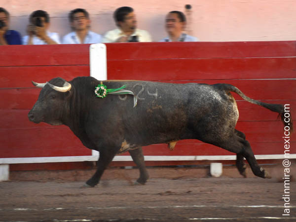 El corrido en tercer sitio