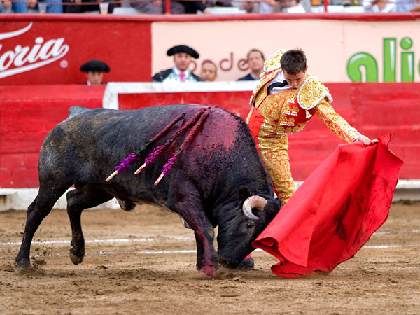 M�xima expresi�n