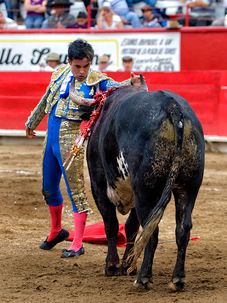 Desplante torero