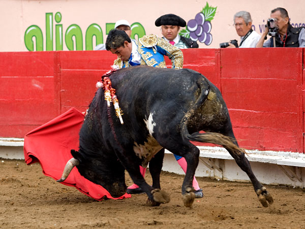 Probando la embestida