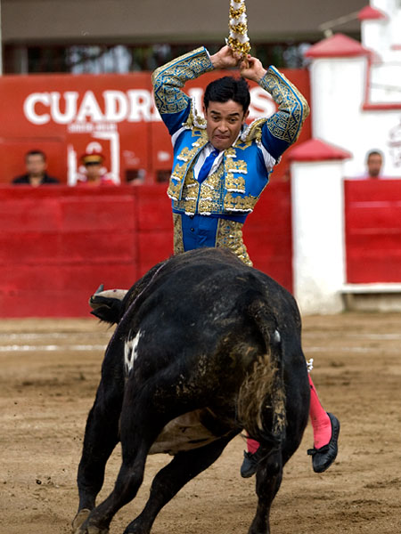 Siempre tratando de agradar