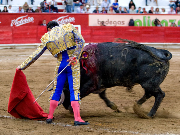 Buscando hacer faena