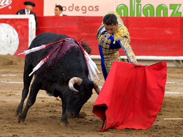 Arranc�ndole los pases