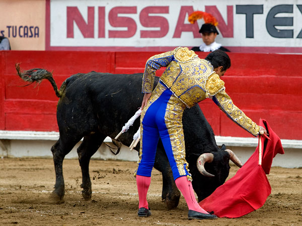 Ense�ando el camino