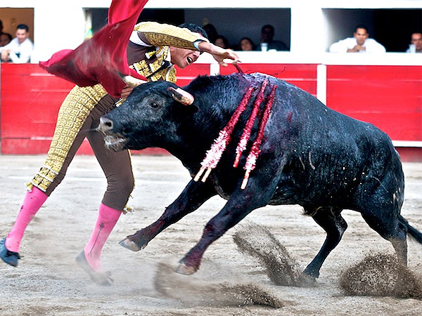 Entregado en la suerte suprema