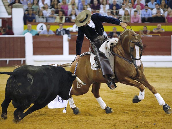 Gran dominio de las suertes