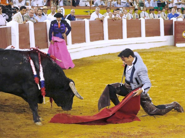 Varias facetas de matador