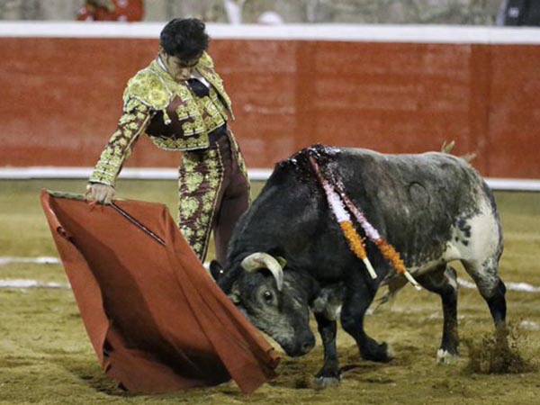 El pit�n derecho del berrendo