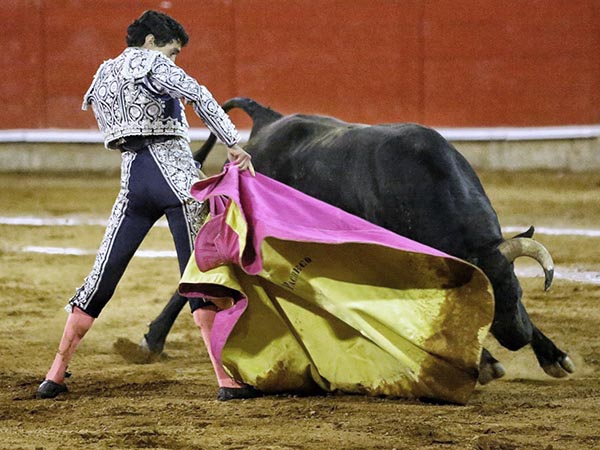 Expresi�n de artista