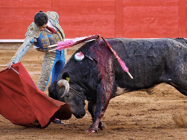 Tirando del c�rdeno