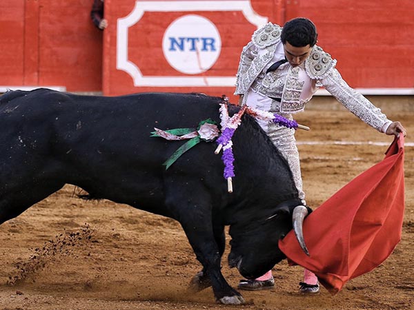 Metido en la canasta