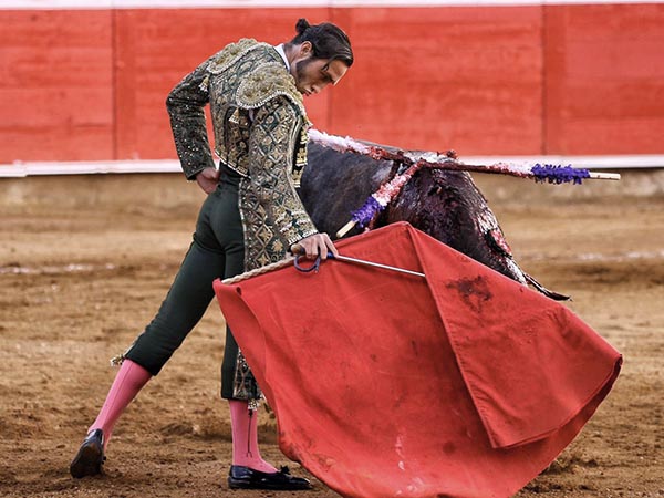 Alternativa a la vista