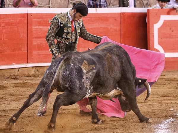 Por ver�nicas en el saludo