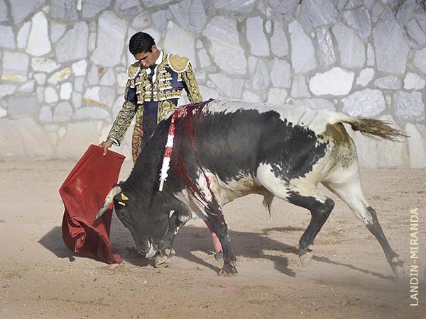 Un berrendo de regalo