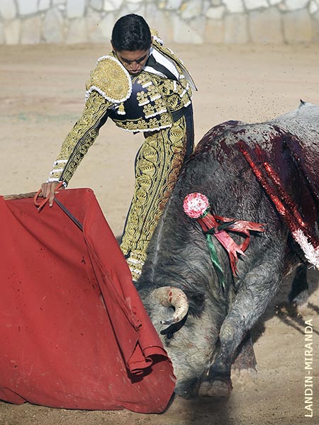 Sentimiento hidroc�lido