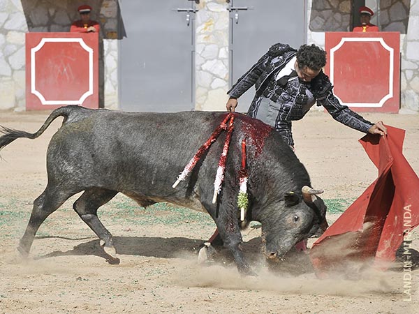 Llev�ndolo toreado