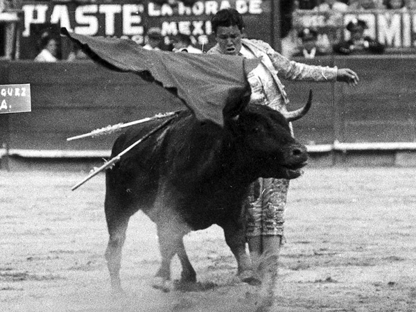 Se los pasaba muy cerca