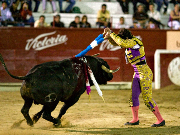 Luciendo en banderillas