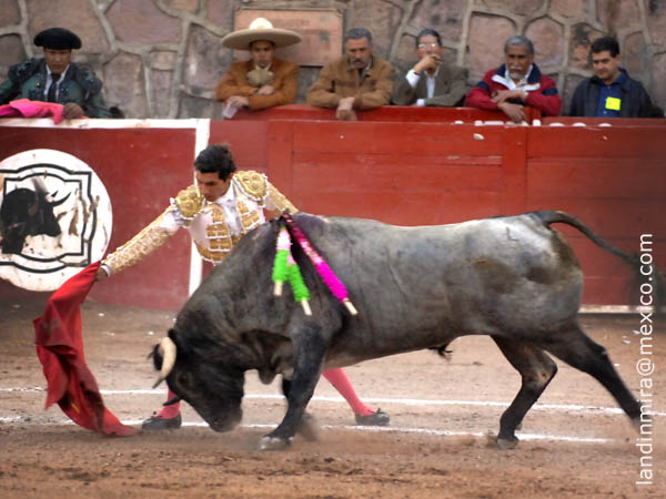 Calibrando al c�rdeno