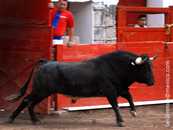 Do�a Pilar llev� trap�o