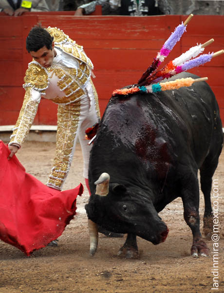 El pit�n rozando la arena