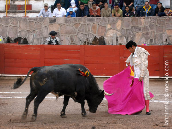 Angelino inicia la Rosetina