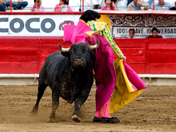 Valor y decision de Mario Aguilar