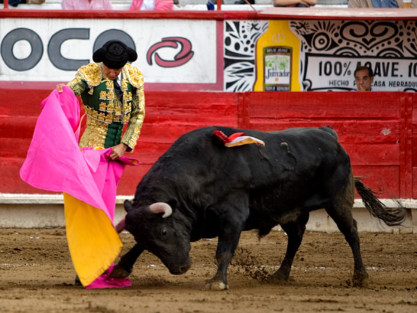 Probando la embestida