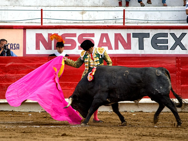 Maestr�a de Garibay