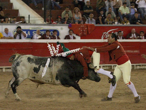 Aqu� est�n los de Juriquilla