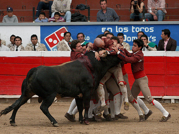 Buena pega de los Mexicanos