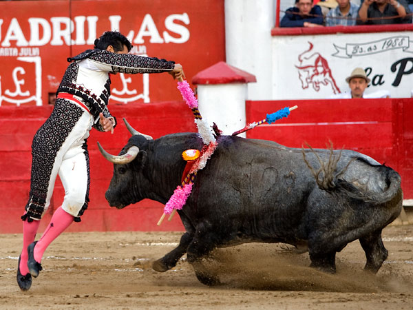 Dominio en banderillas