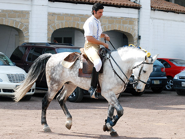 Louceiro III, calentando sus jacas