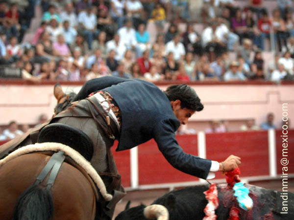 Exponiendo en la rosa