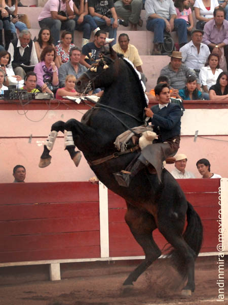 Encelando a la distancia