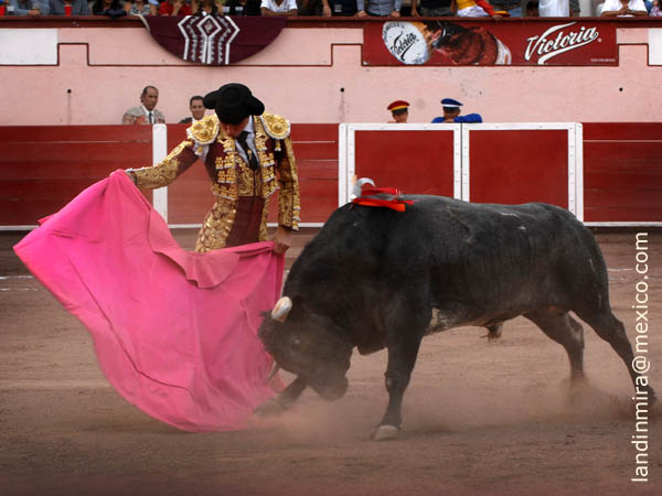 Lances de Juan Camilo