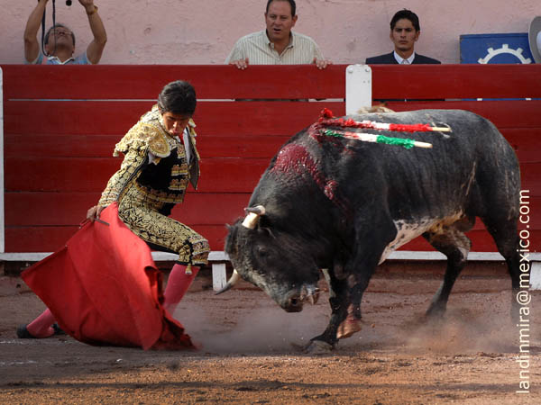 Sometiendo al ejemplar