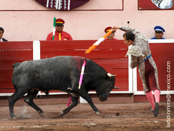 Viol�n hacia adentro