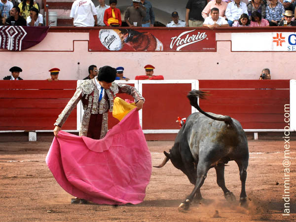 Chicuelinas en los medios