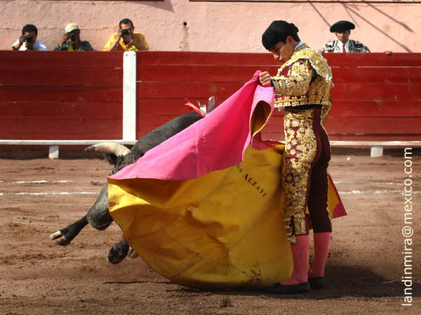En el centro del albero