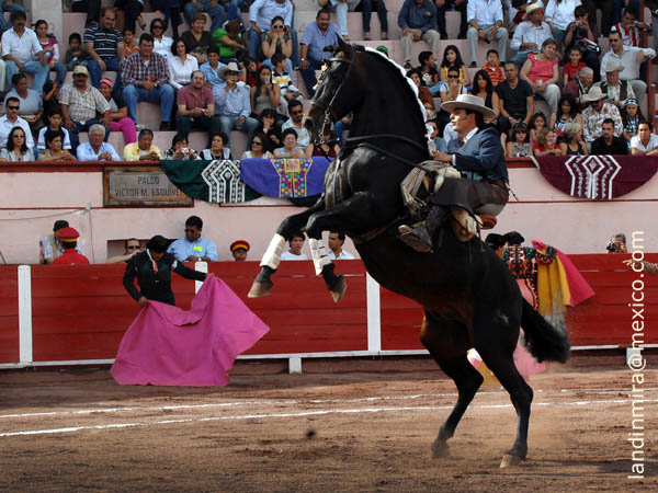 Calentando capotes y tendidos