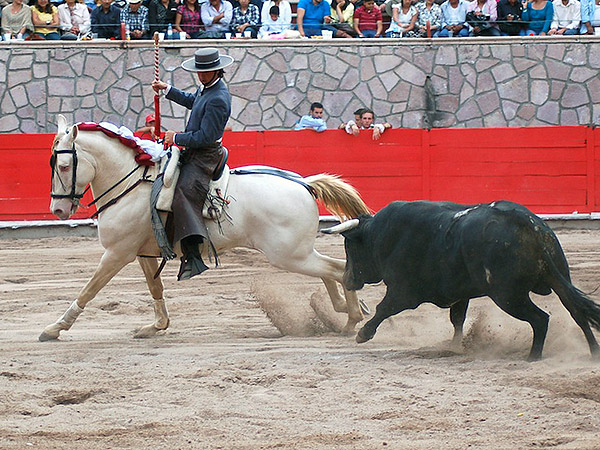 Corral, rodando con cadencia