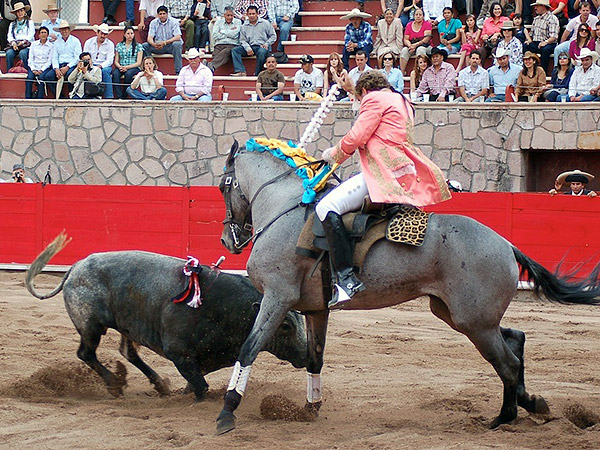 All� va Rodrigo Santos