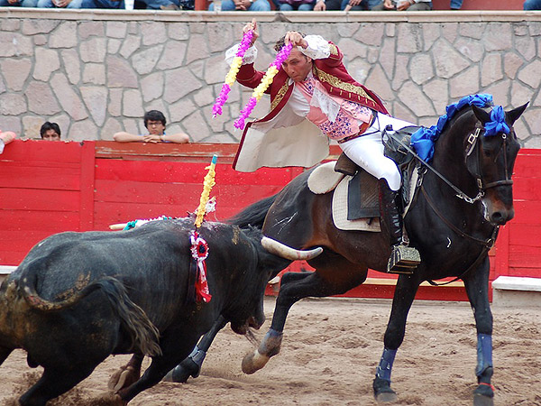 Rienda en la cintura