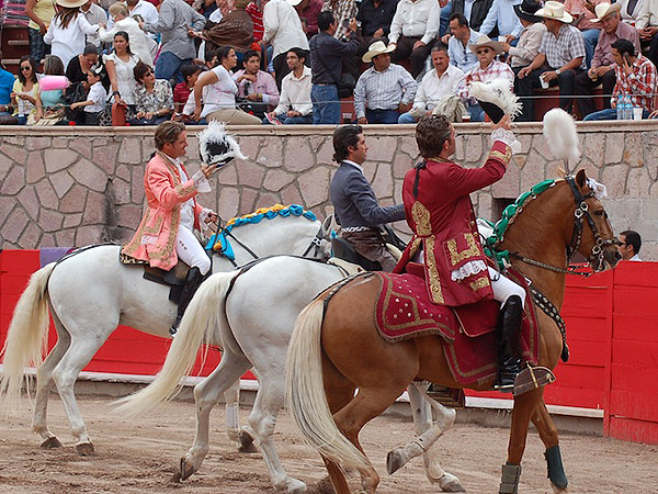 Saludando a la autoridad