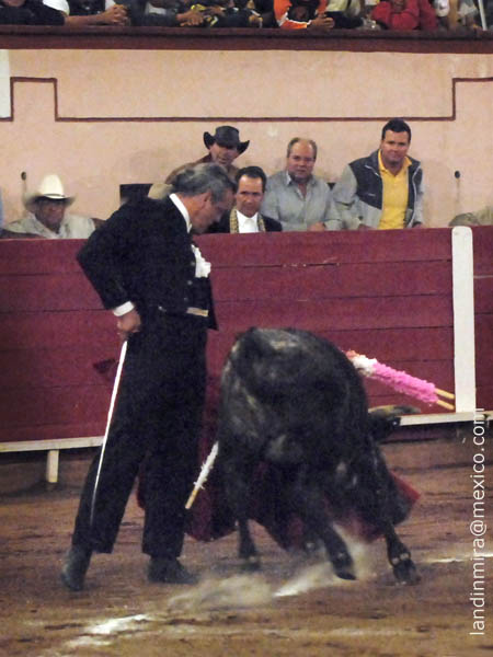 Jaleado en los naturales